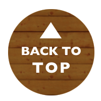back to top